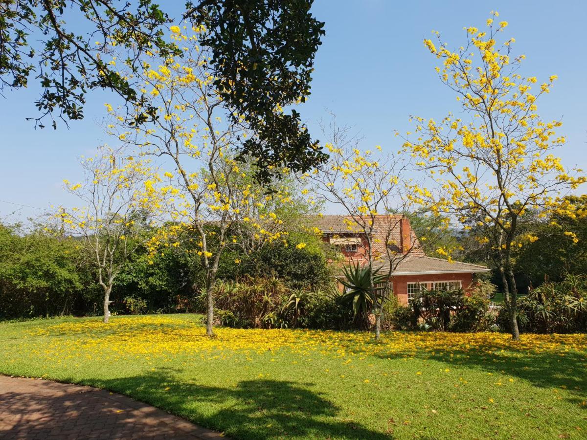 18 Pioneer Bnb Kloof Exterior photo