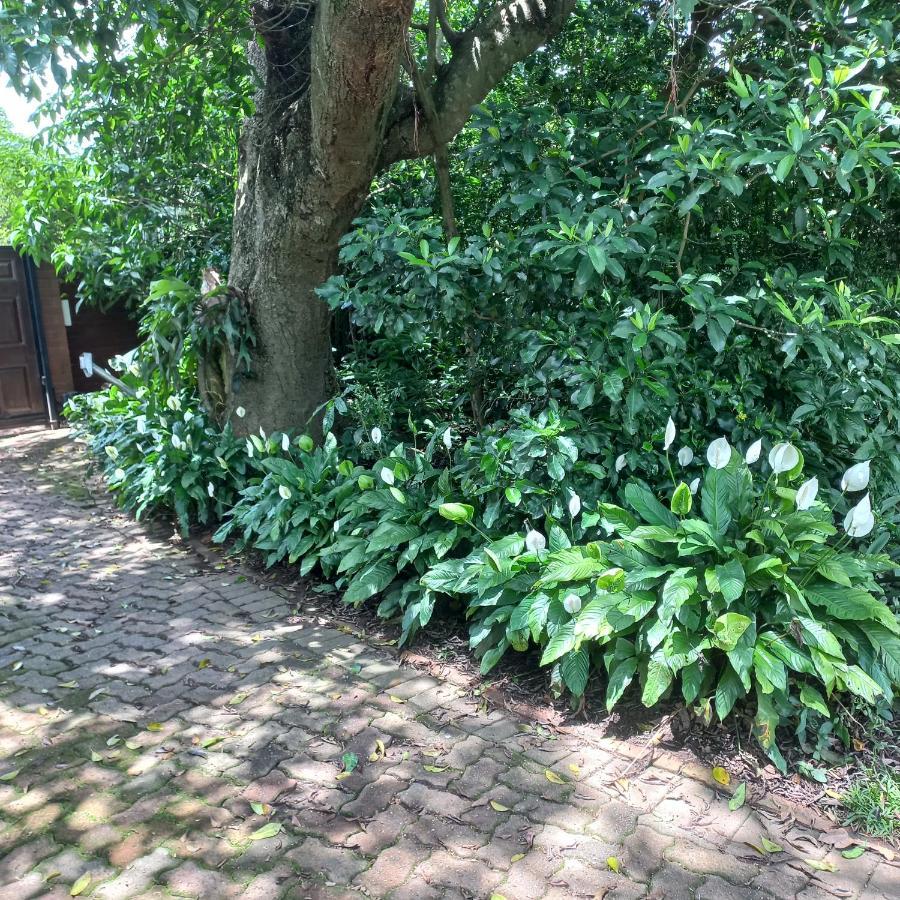 18 Pioneer Bnb Kloof Exterior photo